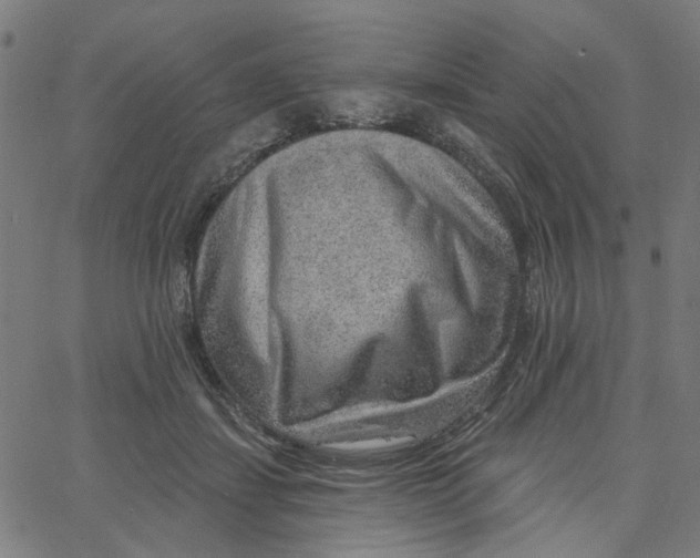 X0000067530459200604281704
