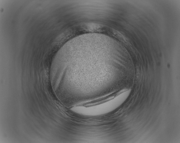 X0000067530461200604281704