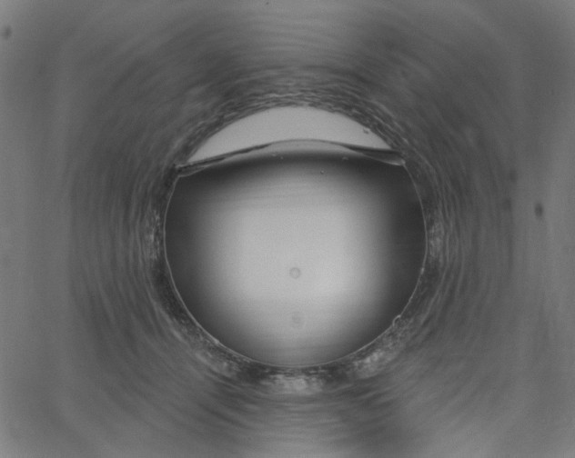 X0000067530464200604281704