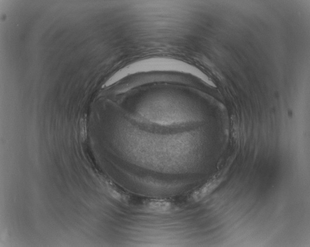 X0000067530471200604281704
