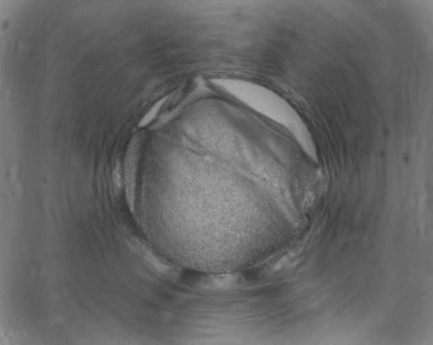 X0000067530479200604281704