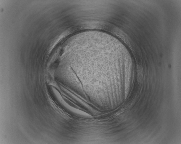X0000067530482200604281703