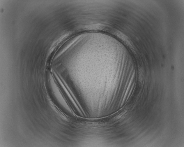X0000067530486200604281703