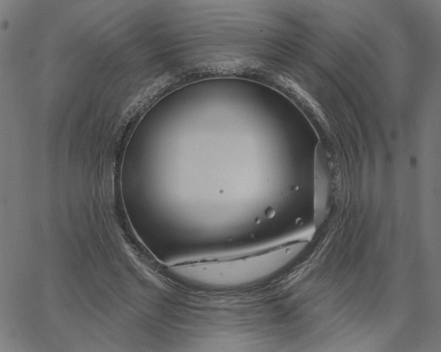X0000067530493200604281703