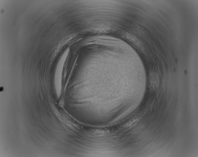 X0000067530494200604281703