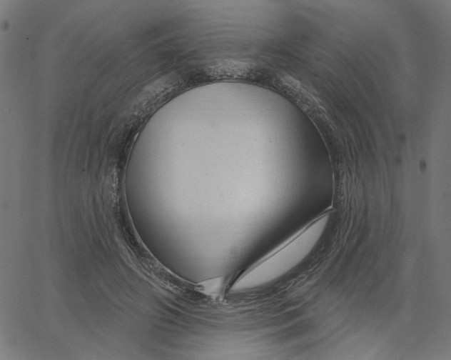 X0000067530498200604281703