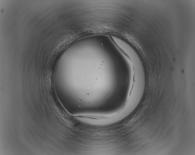 X0000067530501200604281703