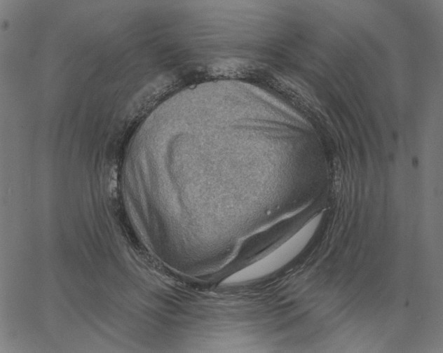 X0000067530502200604281703