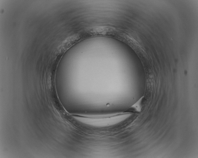 X0000067530504200604281703