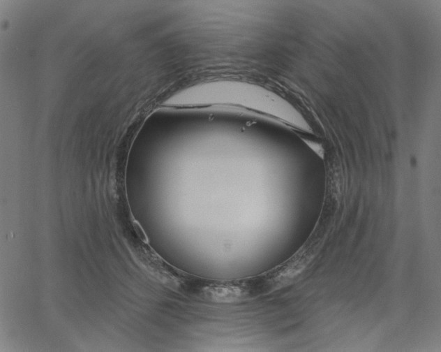 X0000067530512200604281703