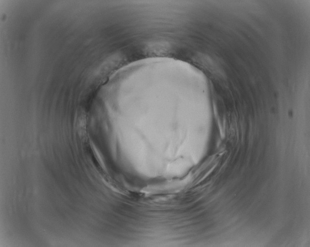 X0000067530526200604281703