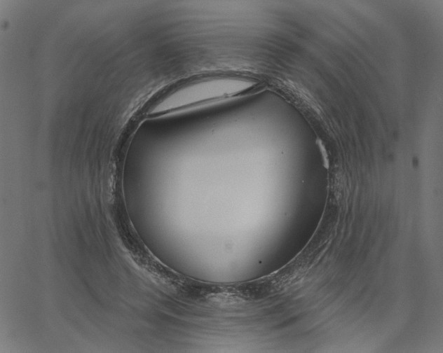 X0000067530544200604281702
