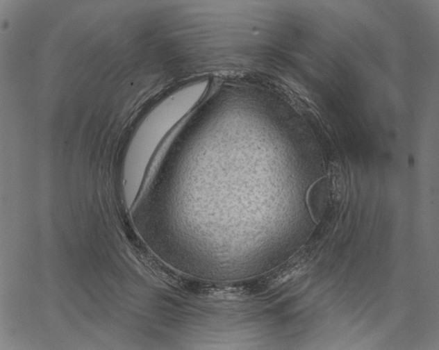 X0000067530550200604281702