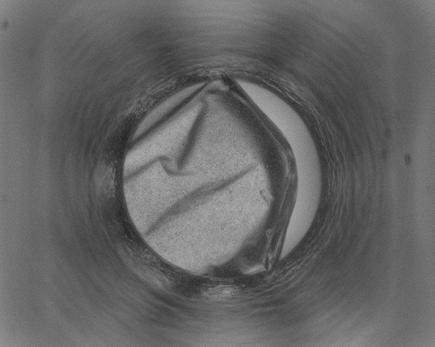 X0000067530551200604281702
