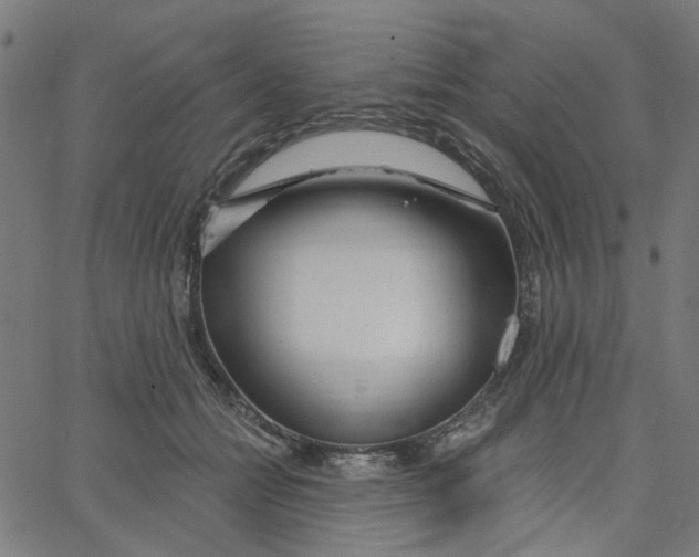 X0000067530558200604281702