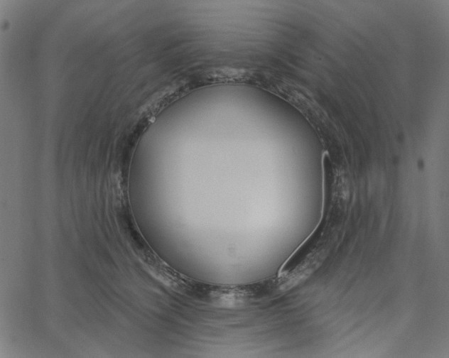 X0000067530564200604281702