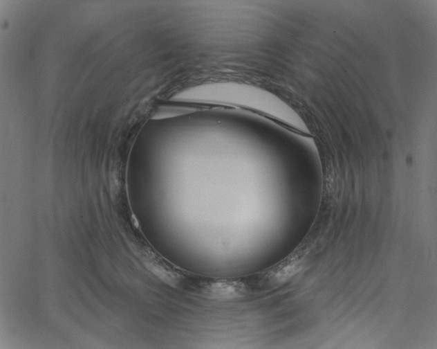 X0000067530566200604281702