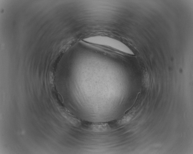 X0000067530571200604281702