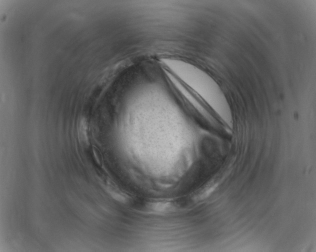 X0000067530575200604281703
