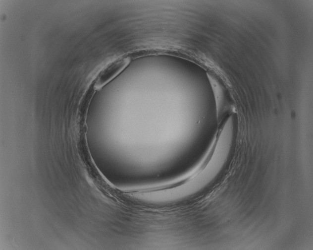 X0000067530580200604281702