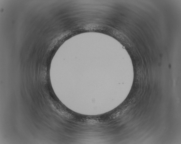 X0000067530592200604281702