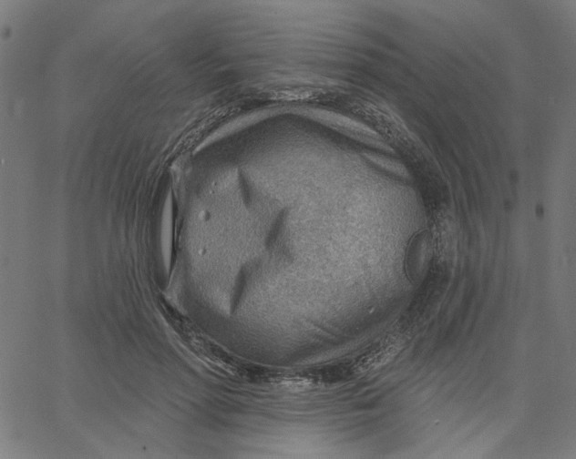 X0000067530598200604281701