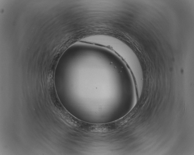X0000067530601200604281701