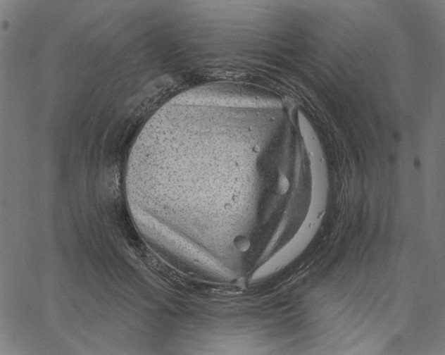X0000067530602200604281701