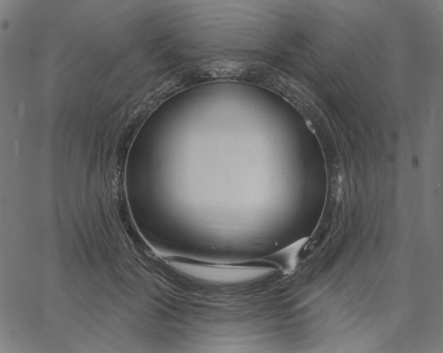 X0000067530604200604281701