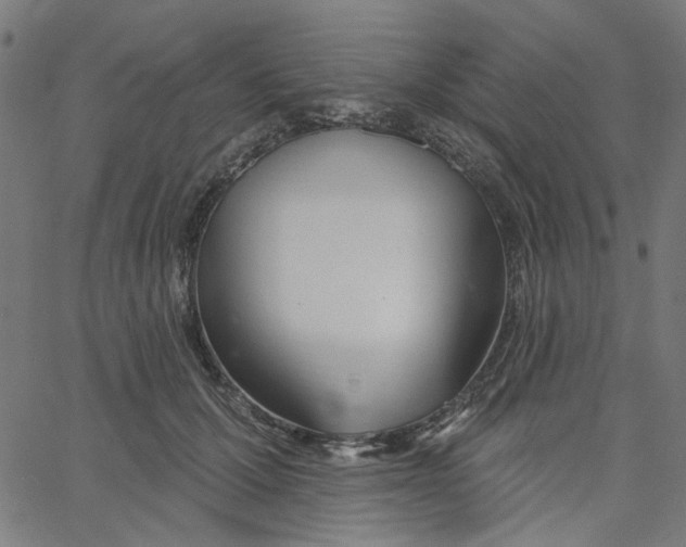 X0000067530607200604281701
