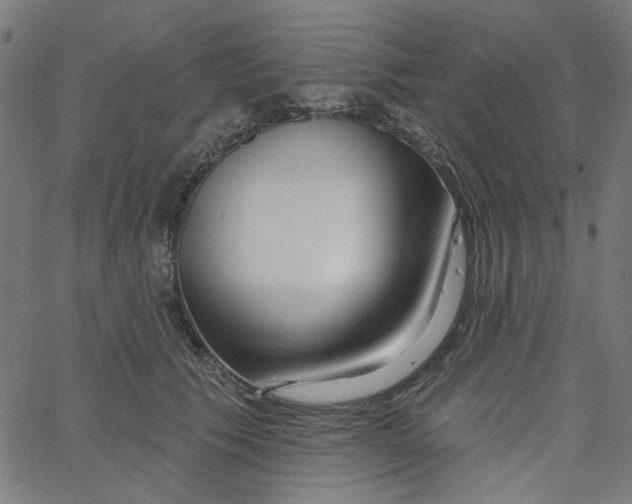 X0000067530609200604281701