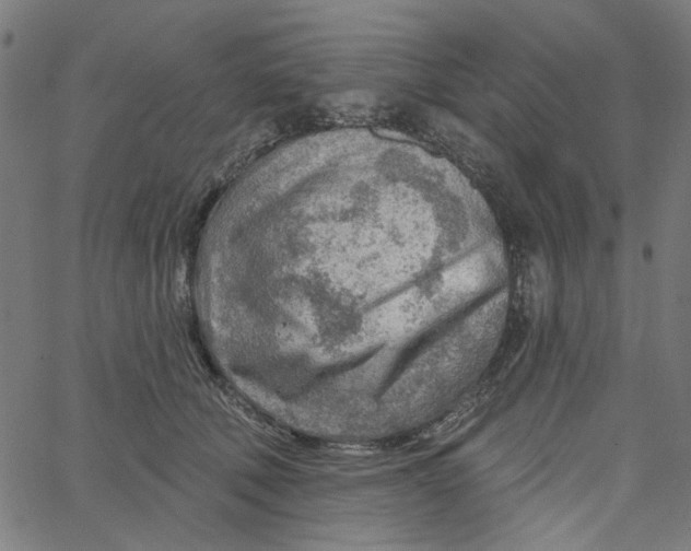 X0000067530610200604281701