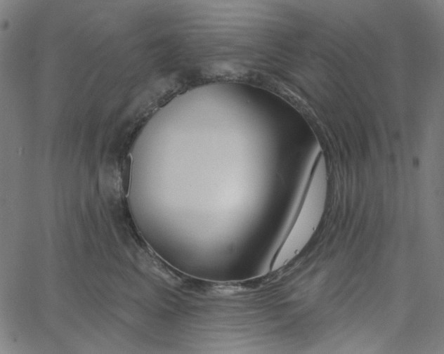 X0000067530617200604281701
