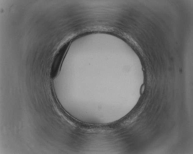 X0000067530625200604281700