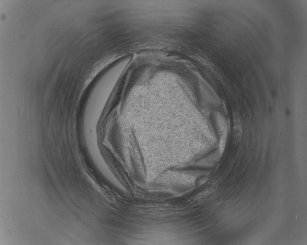 X0000067530626200604281700