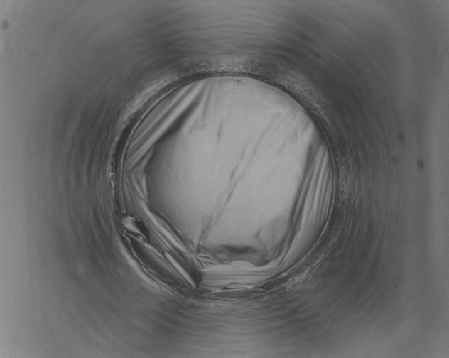 X0000067530674200604281700