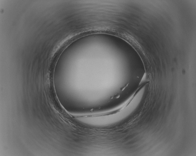 X0000067530676200604281700