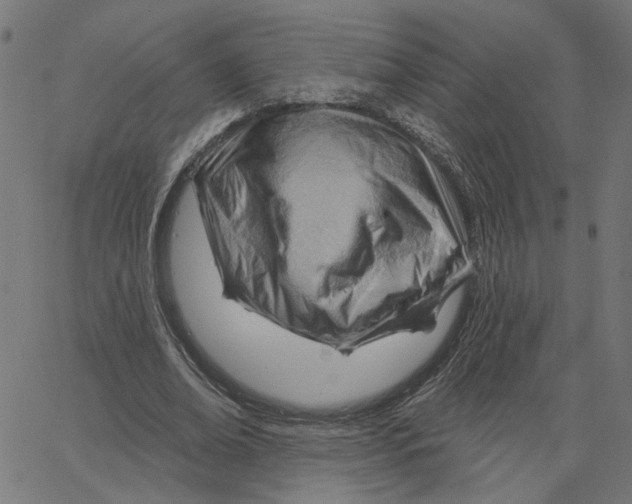 X0000067530678200604281700