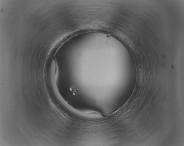 X0000067530680200604281700