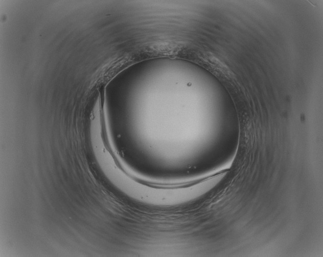 X0000067530693200604281700