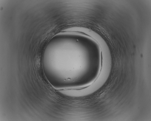 X0000067530697200604281700