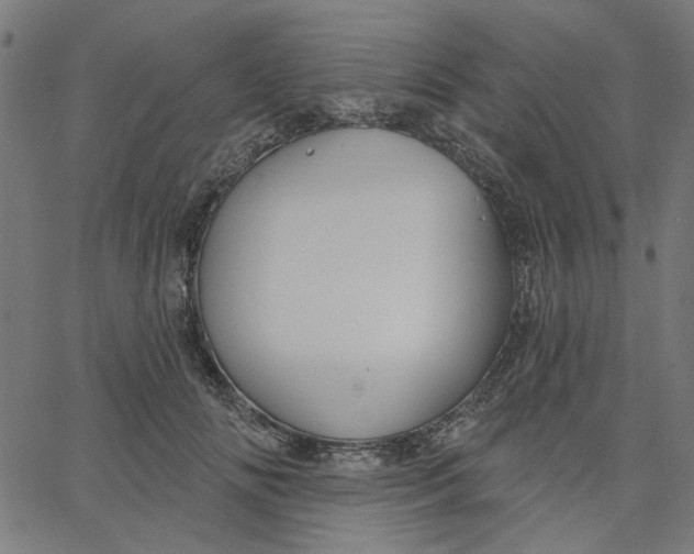 X0000067530702200604281700