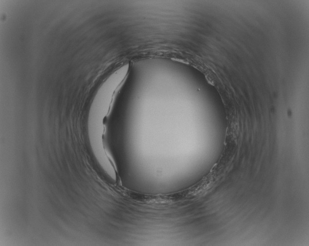 X0000067530708200604281700