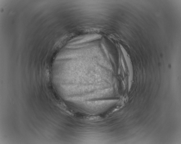 X0000067530716200604281700