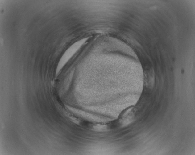 X0000067530718200604281659