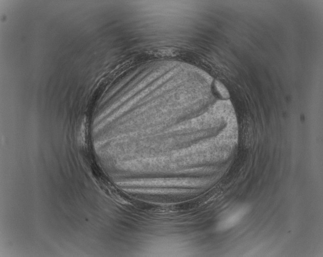 X0000067530747200604281659