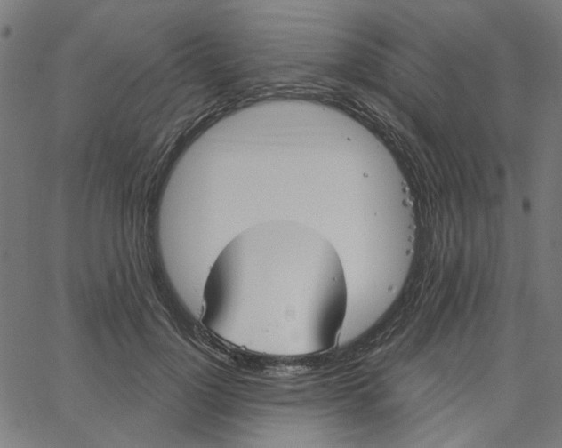 X0000067530748200604281659