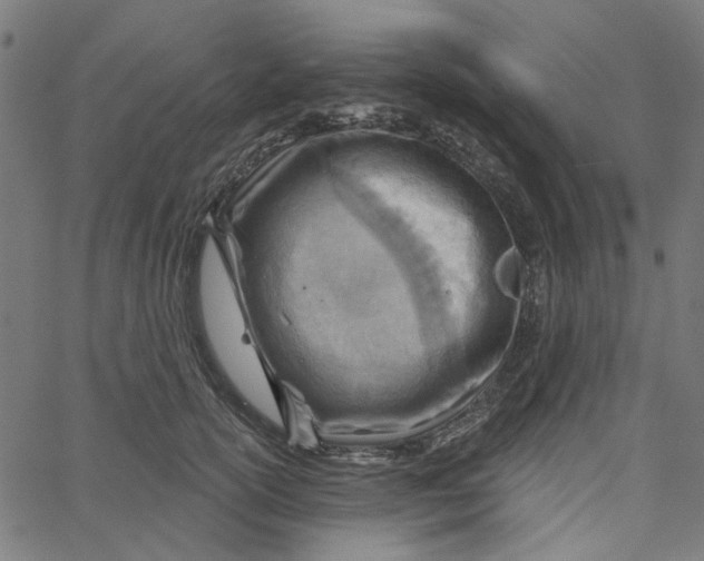X0000067530754200604281659