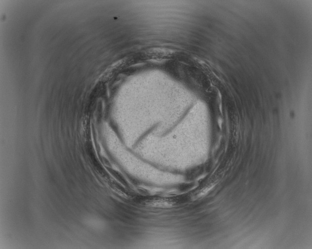 X0000067530759200604281659