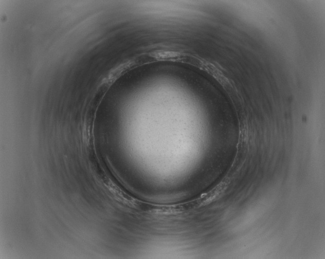 X0000067530763200604281659